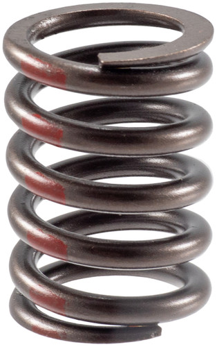 Engine Valve Spring VS-800 - front view