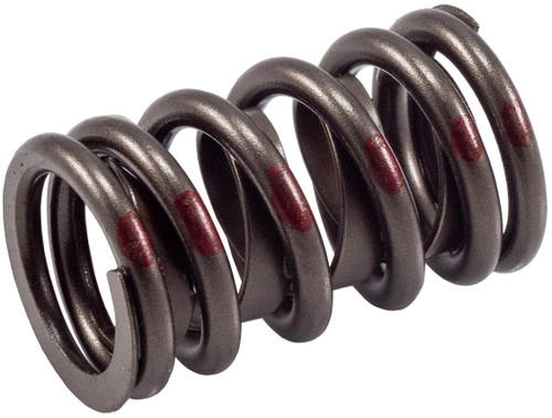 Engine Valve Spring VS-170