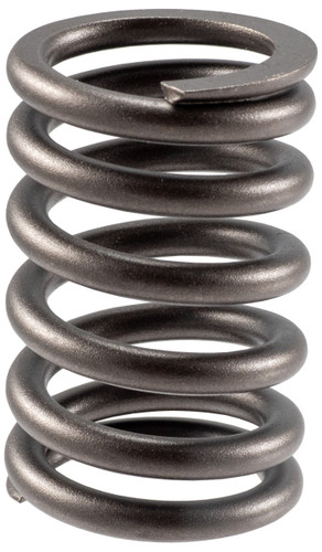 Engine Valve Spring VS-810 - front view