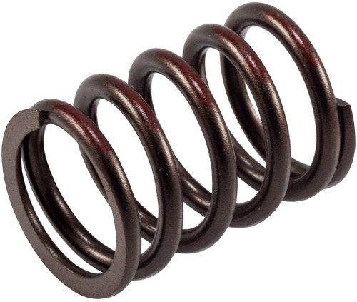 Engine Valve Spring VS-450