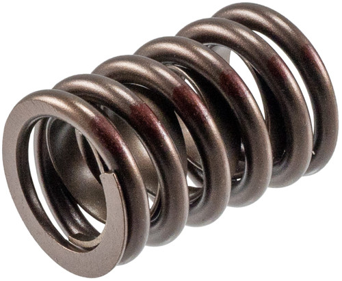 Engine Valve Spring VS-960 - angled view