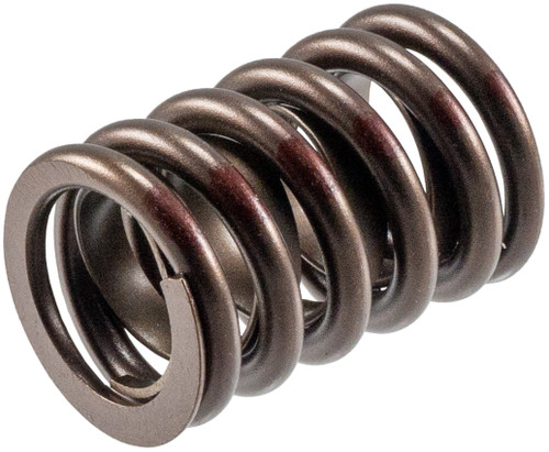 Engine Valve Spring VS-960