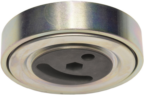 Accessory Drive Belt Idler Pulley 49185 - angled view