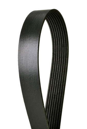 Serpentine Belt 4081055 - front view