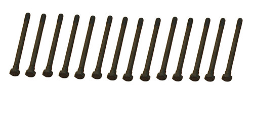 Engine Cylinder Head Bolt Set 81004400 - front view