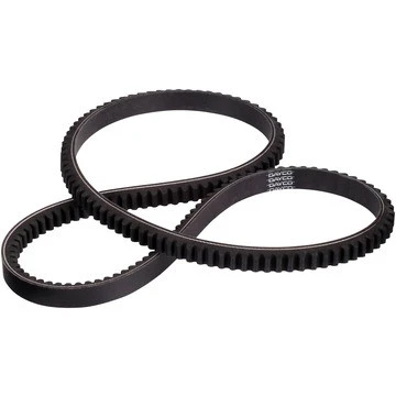 Dayco Accessory Drive V-Belt 17555 - front view