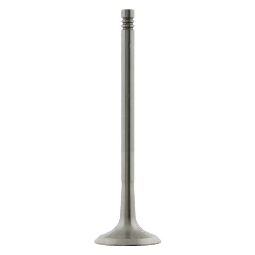 Engine Exhaust Valve 24161 - front view