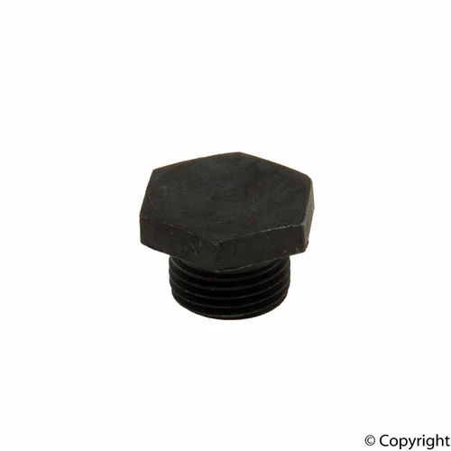 Engine Oil Drain Plug 21438187 - top view
