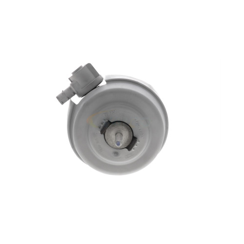Engine Mount V10-7456