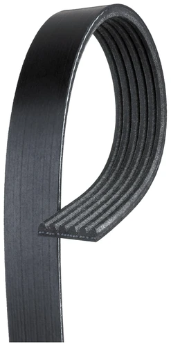 Roadmax Serpentine Drive Belt 6K815AP - top view