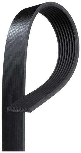 Roadmax Serpentine Drive Belt 8K1264AP - top view