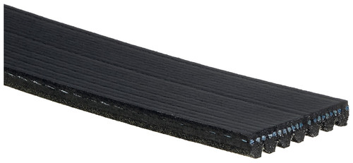 Roadmax Serpentine Drive Belt 7K975AP - angled view
