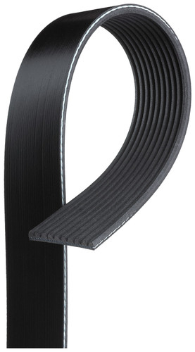 Gates Micro-V Serpentine Drive Belt K101005 - top view