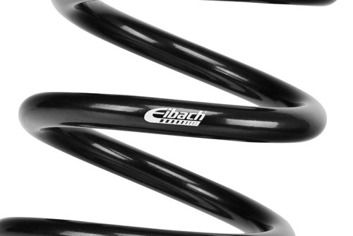 Eibach Coilover Helper Spring 2.50 inch dia (HELPER250)