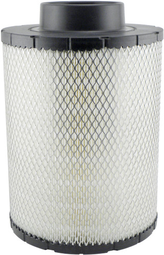 Baldwin Air Filter PA2818 - front view