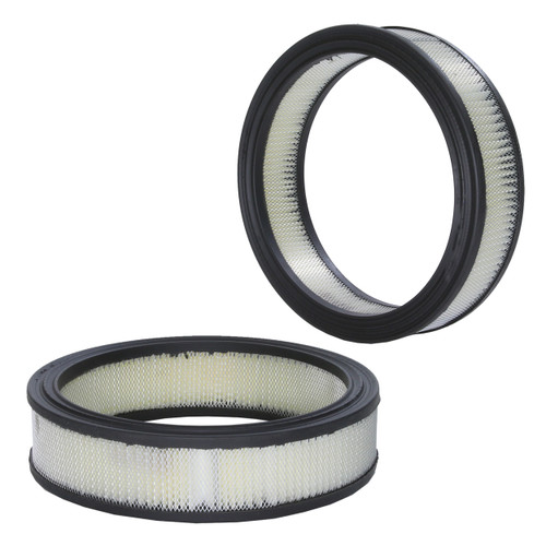 WIX Air Filter 42160 - front view