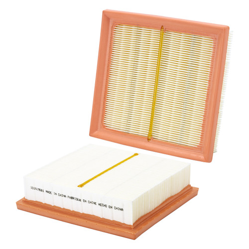 WIX Air Filter WA10961 - front view