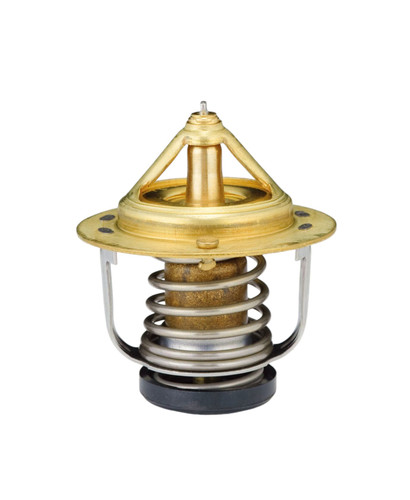 Engine Coolant Thermostat WV52B-78 - front view