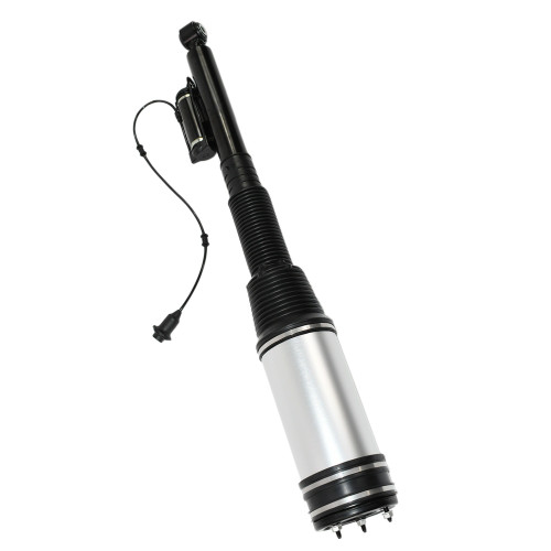 Rear Suspension Strut Assembly SKAS022 - front view