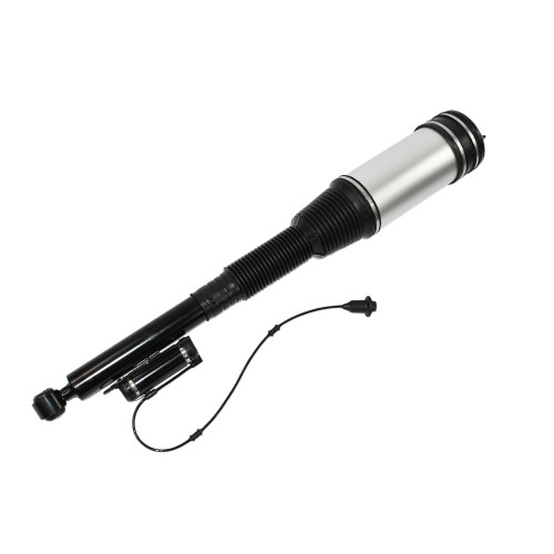 Rear Suspension Strut Assembly SKAS022 - back view