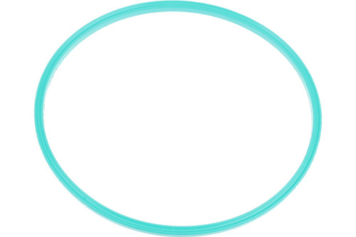 Fuel Pump Assembly O-Ring 22672293 - side view