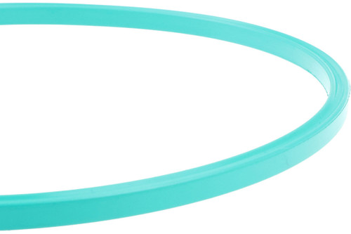 Fuel Pump Assembly O-Ring 22672293 - right view