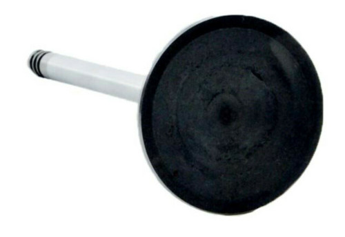 Enginetech V3002 Intake Valve for 1996-1998 Ford 3.8L 1.779" Head Chrome Stem - Precision Engine Intake Valve Replacement