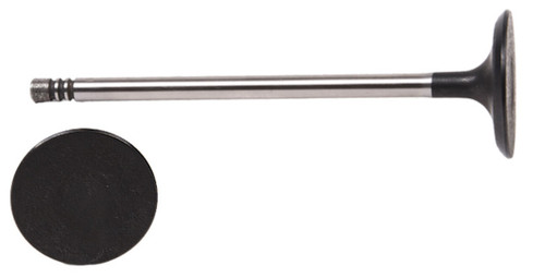 Enginetech V1660 Intake Valve for 2013-2019 Ford 1.5L/1.6L 1.1835" Head Engine Valve - Precision Engine Intake Valve Replacement