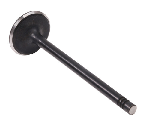 Enginetech V1620 Intake Valve for 2011-2018 Ford 1.6L 1.1810" Head Nitrided Stem - Precision Engine Intake Valve Replacement