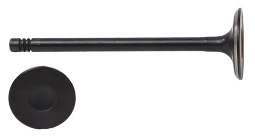 Enginetech V1620 Intake Valve for 2011-2018 Ford 1.6L 1.1810" Head Nitrided Stem - Precision Engine Intake Valve Replacement
