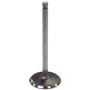 Crown Automotive J3242659 Engine Intake Valve - Fits 1987-1990 Jeep YJ Wrangler