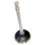 Crown Automotive 53020748AB Standard Exhaust Valve for Select Jeep 1999-2007 WJ, WG, WK, WJ Grand Cherokee, 2006-2007 XK, XH Commander w