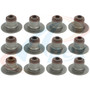 Apex Valve Stem Seal Set AVS2074 for 2002-2012 Dodge/Jeep/Mitsubishi 3.7L V6 (Dakota, Durango, Nitro, Ram 1500)
