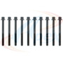 Apex Cylinder Head Bolt Set AHB556 for 2007-2020 Chevrolet/Nissan 2.0L 1.8L L4 (City Express, Cube, NV200, Rogue)