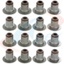 Apex Valve Stem Seal Set AVS3072 for 2001-2020 Avanti/Buick/Cadillac 5.7L 5.3L V8 (II, LaCrosse, Rainier, CTS)