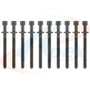 Apex Cylinder Head Bolt Set AHB905 for 1998-2015 Volkswagen 2.0L L4 (Beetle, Golf, Jetta)