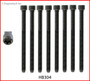 Head Bolt Set - Fits Audi/Volkswagen 3.0L/3.2L DOHC 24V- 2 Sets Required - HB304