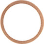 Reinz Oil Drain Plug Gasket 41-70166-00 for 2002-2020 BMW/Mercedes-Benz 4.4L 6.0L V8 (745i, 745Li, 760Li, 650i)