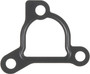 Reinz Thermostat Gasket 71-15389-00