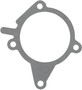 Reinz Water Pump Gasket 71-15591-00 for 1986-2005 Mazda/Mercury/Ford 1.6L 1.8L L4 (MX-3, Tracer, 323, Protege)