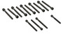Elring Head Bolt Set for 2004-2015 BMW Z4/X3/X5/125i/128i 2.5L 3.0L