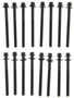 Mahle Cylinder Head Bolt Set GS33791