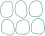 Mahle Plenum Gasket Set for 2004-2008 Ford/Mercury Freestar/Monterey/F-150 3.9L 4.2L