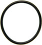 Mahle Water Pump Gasket for 1999-2014 Audi/VW Beetle/Golf/Jetta/A3/Passat 1.9L 2.0L