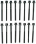 Mahle Cylinder Head Bolt Set GS33960