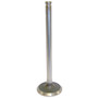Crown Automotive 33003860 Engine Exhaust Valve - Fits 1997-1998 Jeep TJ Wrangler