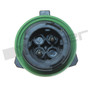 Walker Products Exhaust Gas Temperature (EGT) Sensor HD 1003-1019 - 2-Wire