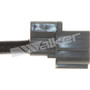 Walker Products Oxygen Sensor 250-241121 for 2000-2003 Acura 3.2L (CL, TL)
