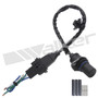 Walker Products Engine Crankshaft Position Sensor 235-91429 for 2006-2010 Hyundai/Kia 2.7L (Santa Fe, Optima, Rondo)