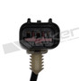 Walker Products Engine Crankshaft Position Sensor 235-2287 for 2019-2022 Land Rover 3.0L (Discovery, Range Rover, Range Rover Sport)